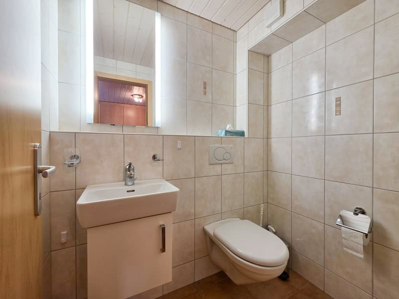3.5 room apartment on the ground floor (14)