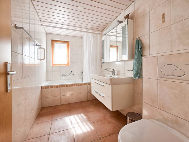 3.5 room apartment on the ground floor (13)