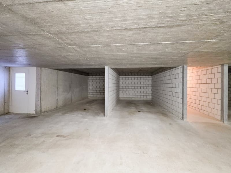 3.5 room apartment on the ground floor (19)