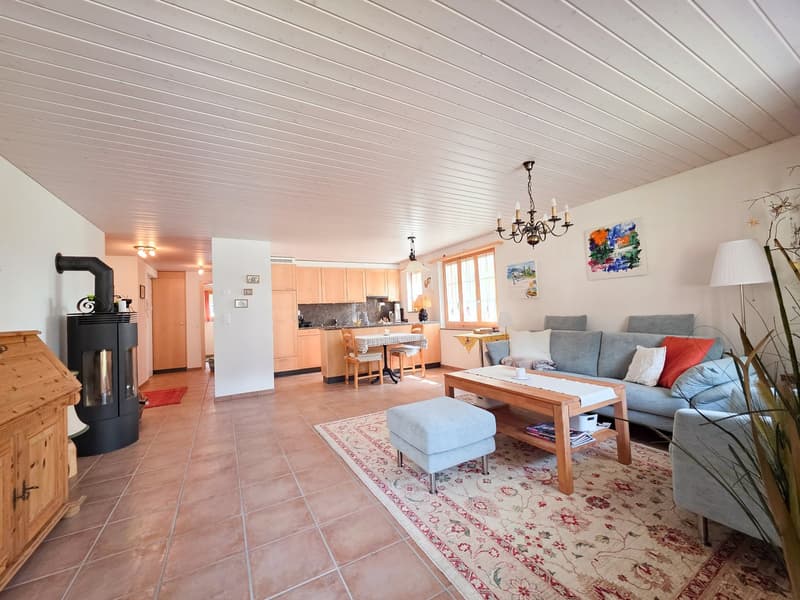 3.5 room apartment on the ground floor (10)