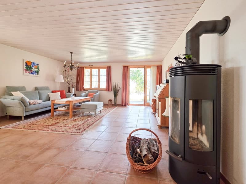 3.5 room apartment on the ground floor (9)