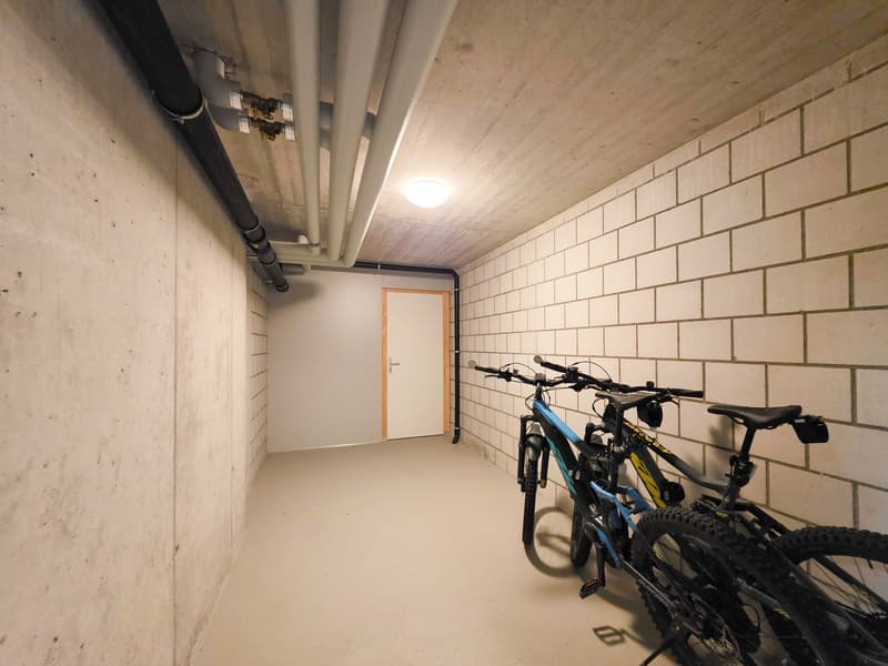 3.5 room apartment on the ground floor (18)