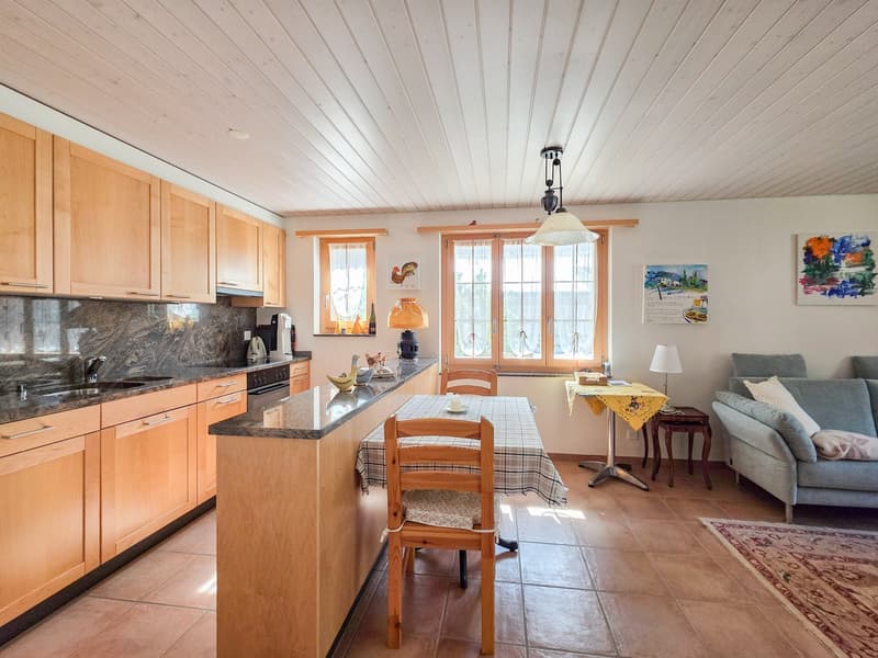 3.5 room apartment on the ground floor (7)