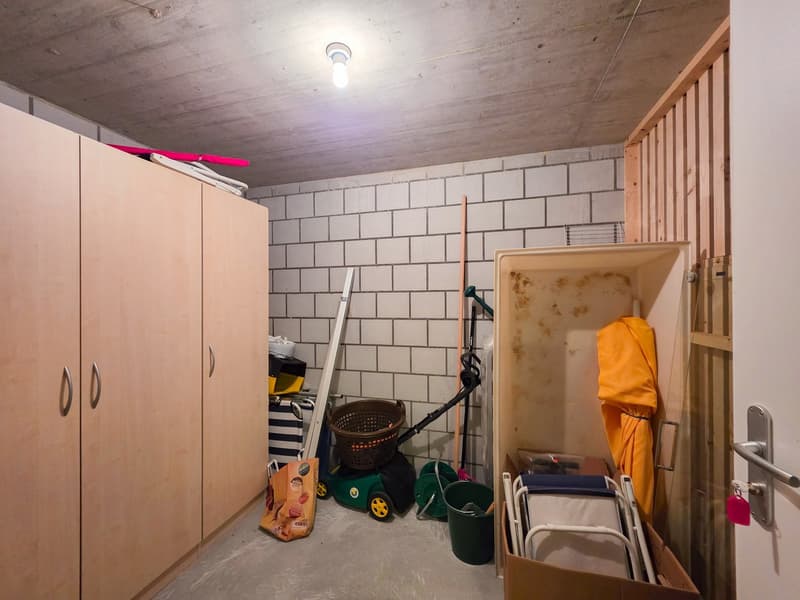 3.5 room apartment on the ground floor (15)