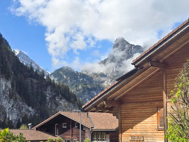 Attractive 3.5-room ground-floor apartment in a two-family house in Kandersteg (19)
