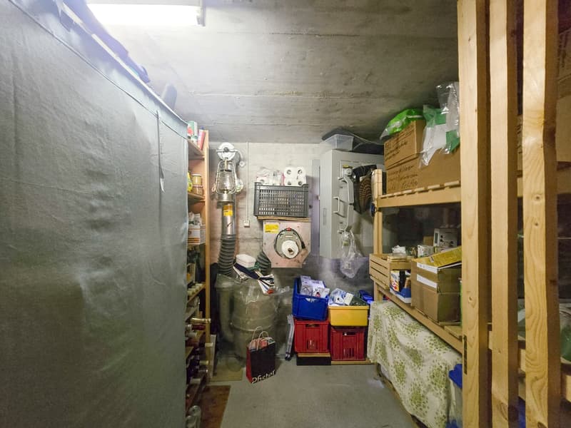Attractive 3.5-room ground-floor apartment in a two-family house in Kandersteg (23)