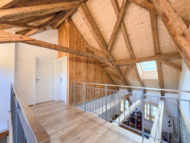 Appartement Duplex Maisonette 5.5 Pièces (13)