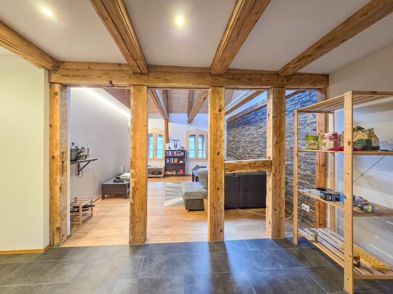 Appartement Duplex Maisonette 5.5 Pièces (7)