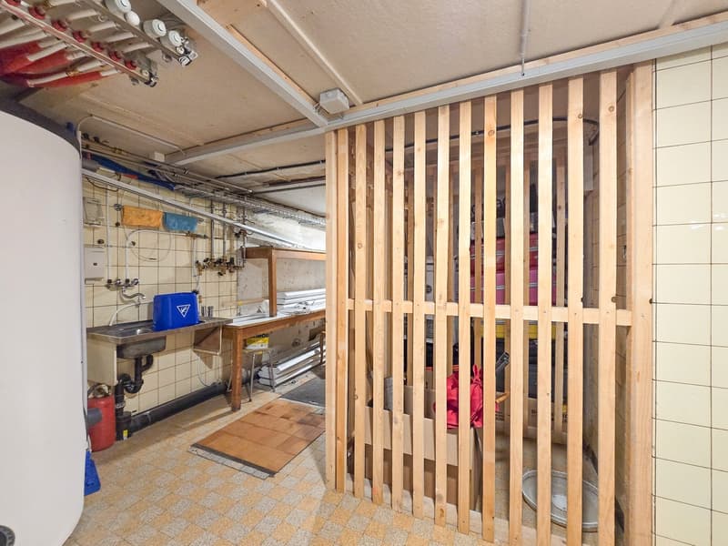 Appartement Duplex Maisonette 5.5 Pièces (16)