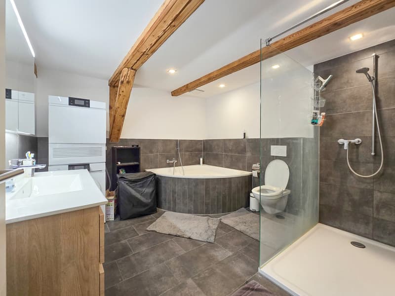 Appartement Duplex Maisonette 5.5 Pièces (11)