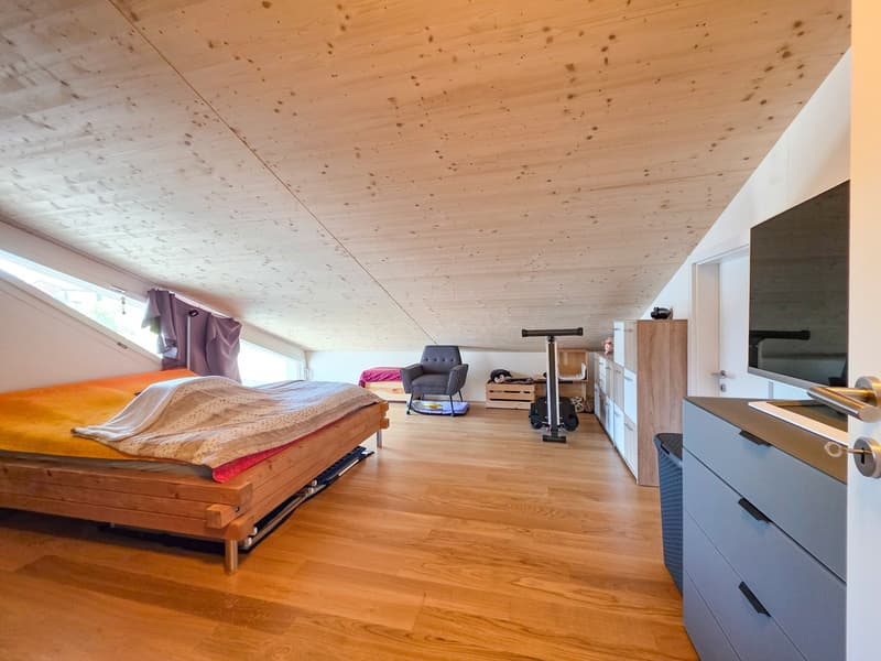 3-Room Apartment on the Top Floor (15)
