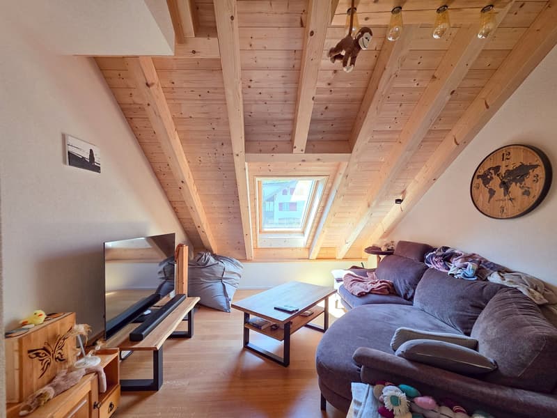 3-Room Apartment on the Top Floor (14)