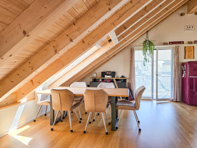 3-Room Apartment on the Top Floor (12)
