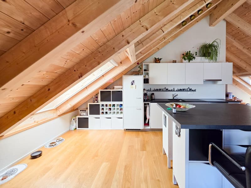 3-Room Apartment on the Top Floor (9)