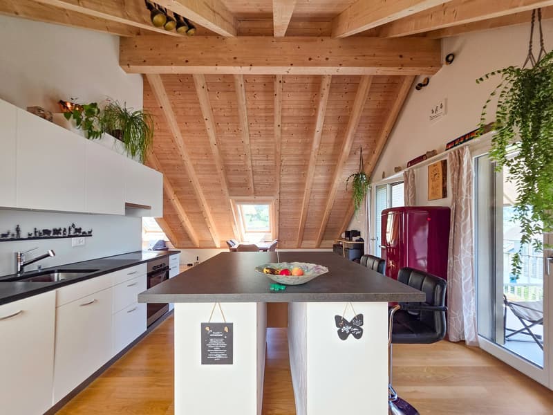 3-Room Apartment on the Top Floor (10)