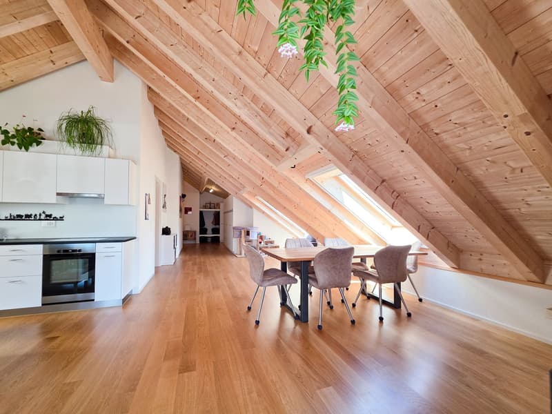 3-Room Apartment on the Top Floor (13)