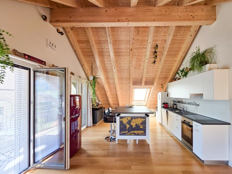 3-Room Apartment on the Top Floor (8)