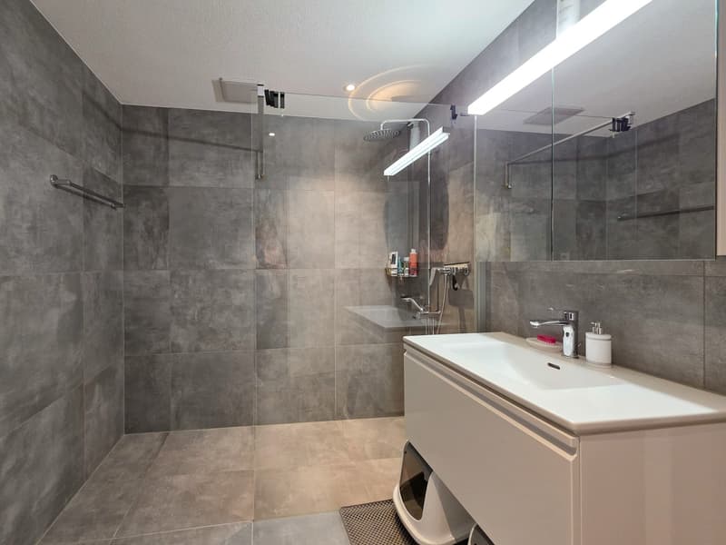 3-Room Apartment on the Top Floor (18)