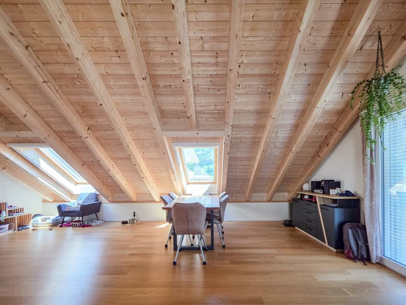 3-Room Apartment on the Top Floor (11)