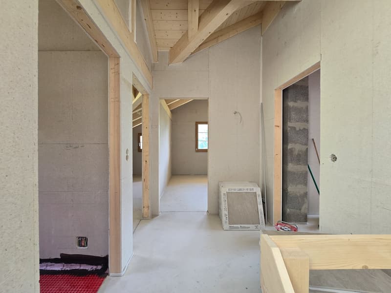 5.5 Zimmer Wohnung im Ober- und Dachgeschoss, Erstbezug (6)