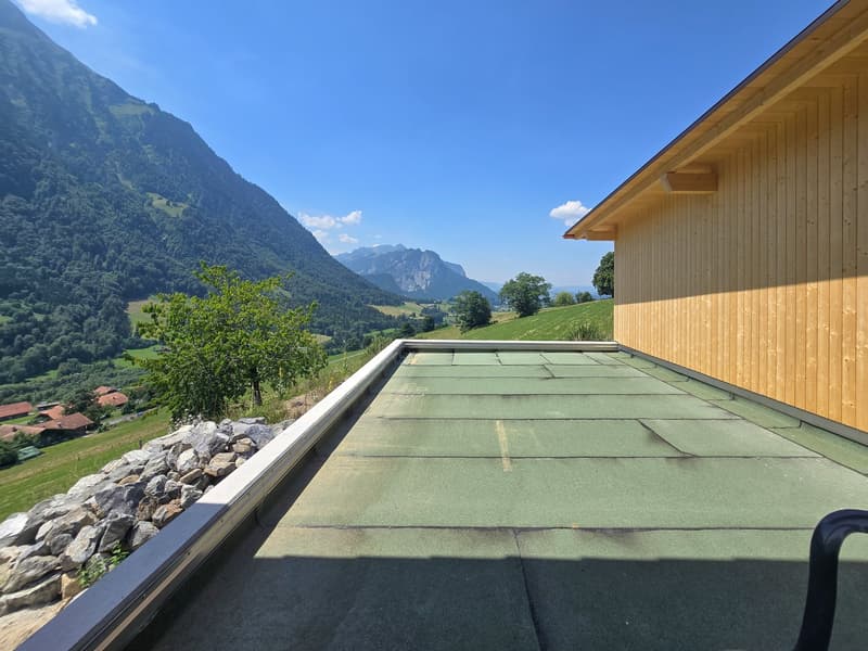 5.5 Zimmer Wohnung im Ober- und Dachgeschoss, Erstbezug (18)