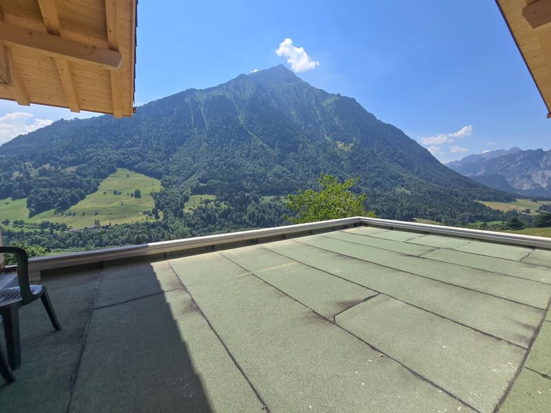 5.5 Zimmer Wohnung im Ober- und Dachgeschoss, Erstbezug (19)