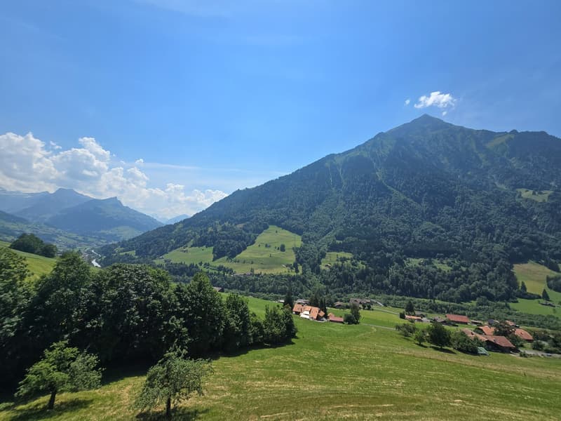 5.5 Zimmer Wohnung im Ober- und Dachgeschoss, Erstbezug (14)