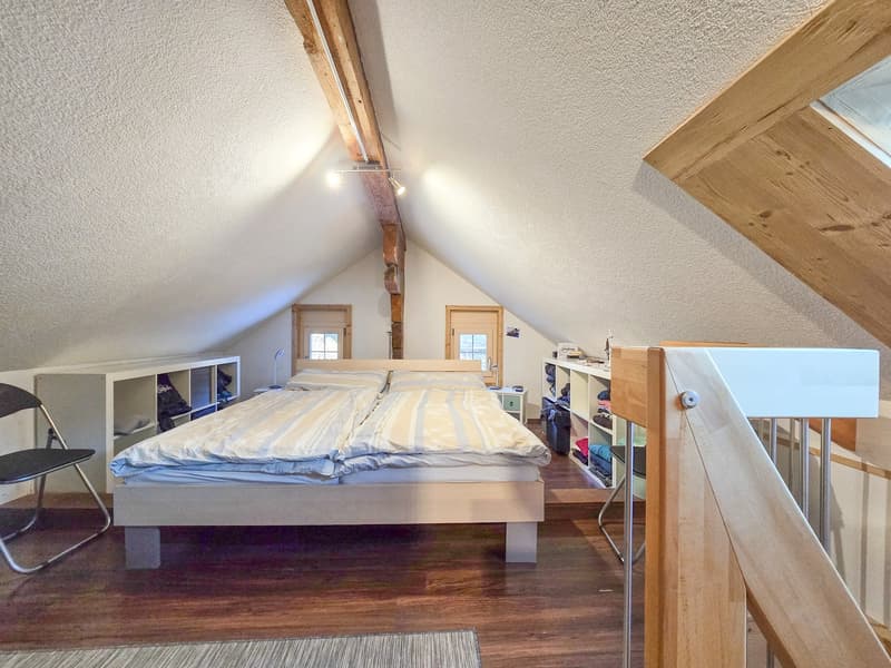 4.5-Room Attic Apartment (13)
