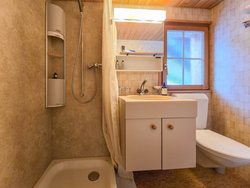 4.5-Room Attic Apartment (16)