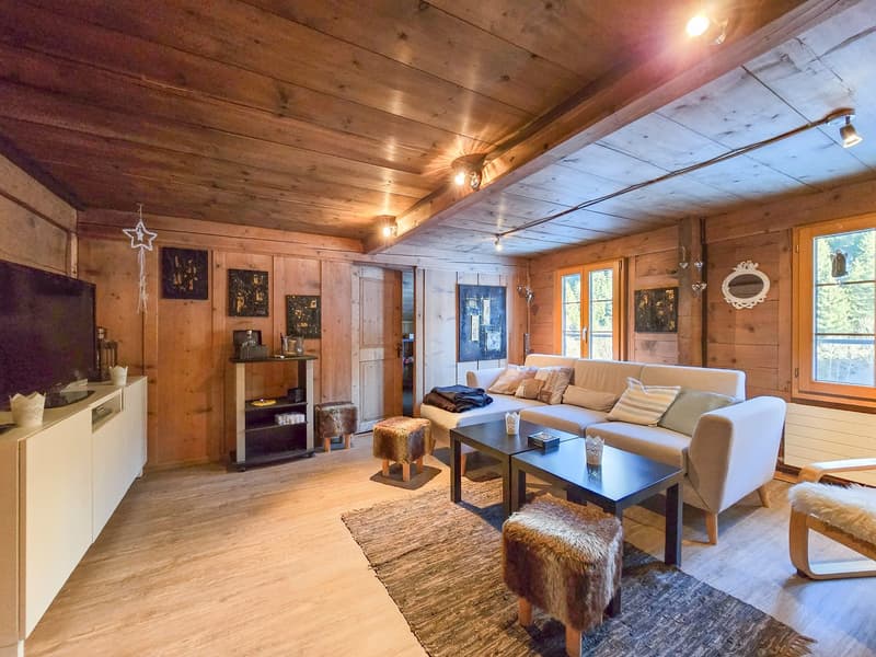 4.5-Room Attic Apartment (10)