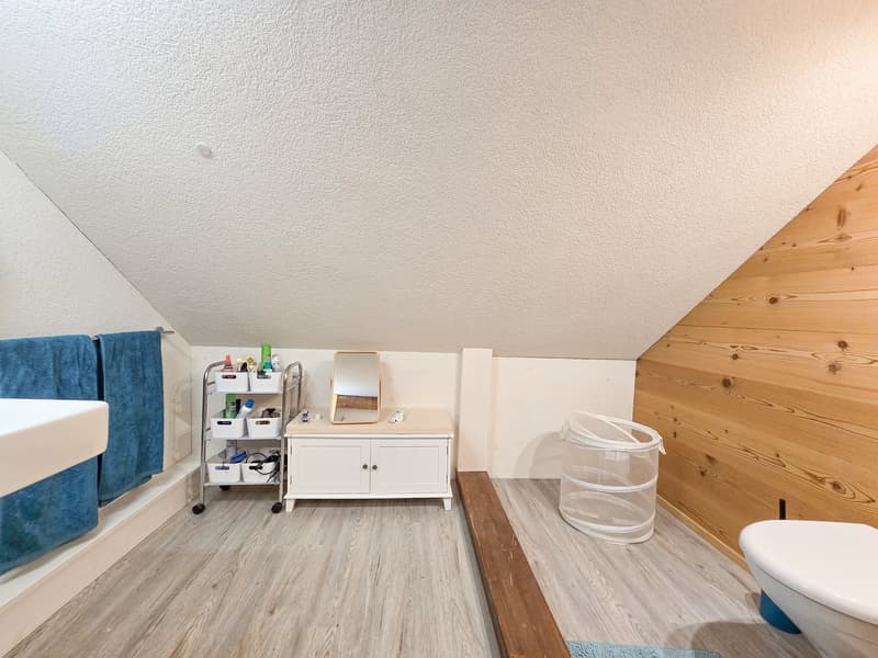 4.5-Room Attic Apartment (15)