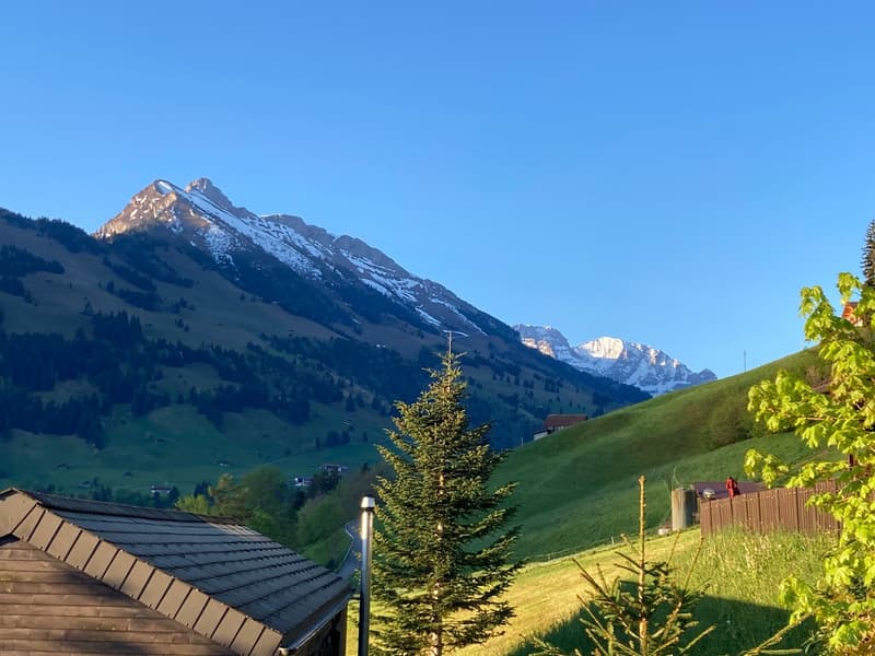 3.5 Room Chalet - Holiday Home (30)