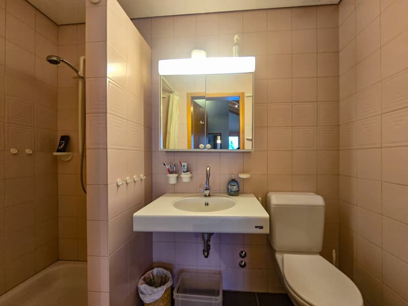 3.5 Zimmer Wohnung im DG (17)