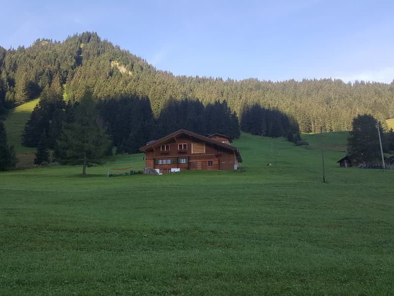 3.5-Zimmer-Wohnung (1)