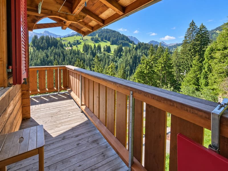 Ein Chalet zum Verlieben – Geborgenheit, Bergblick und ein Stück Adelboden (17)