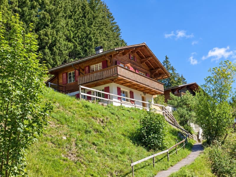 Ein Chalet zum Verlieben – Geborgenheit, Bergblick und ein Stück Adelboden (2)