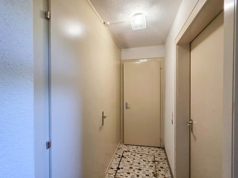 Mehrfamilienhaus mit drei Einheiten (38)