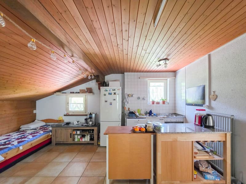 Mehrfamilienhaus mit drei Einheiten (25)
