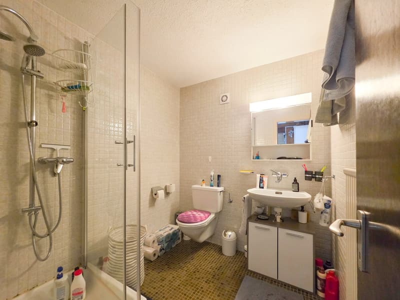 Mehrfamilienhaus mit drei Einheiten (28)