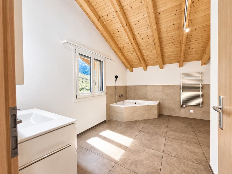 5.5-Zimmer-Chalet (17)
