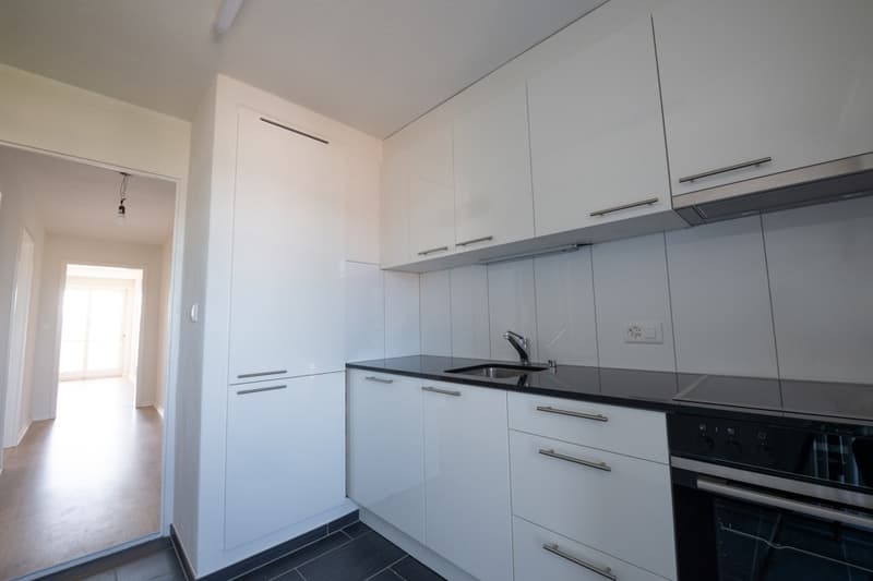 Appartamento di 4 locali in affitto a Spreitenbach (3)
