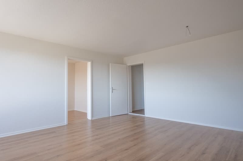 Appartamento di 4 locali in affitto a Spreitenbach (5)