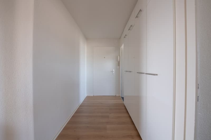 Appartamento di 4 locali in affitto a Spreitenbach (11)