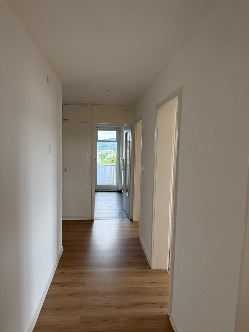 Appartement de 5 pièces rénové à louer à Spreitenbach ! (12)