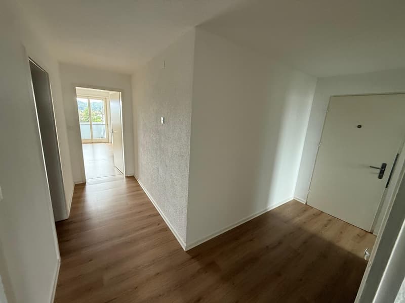 Appartement de 5 pièces rénové à louer à Spreitenbach ! (5)
