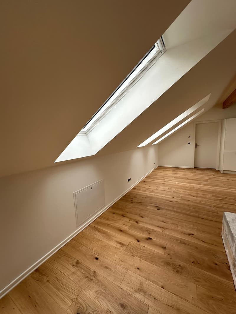 Erstbezug nach komplettem Dachausbau  exklusive Dachgeschosswohnung mit Cabriofenster in zentraler Lage (7)