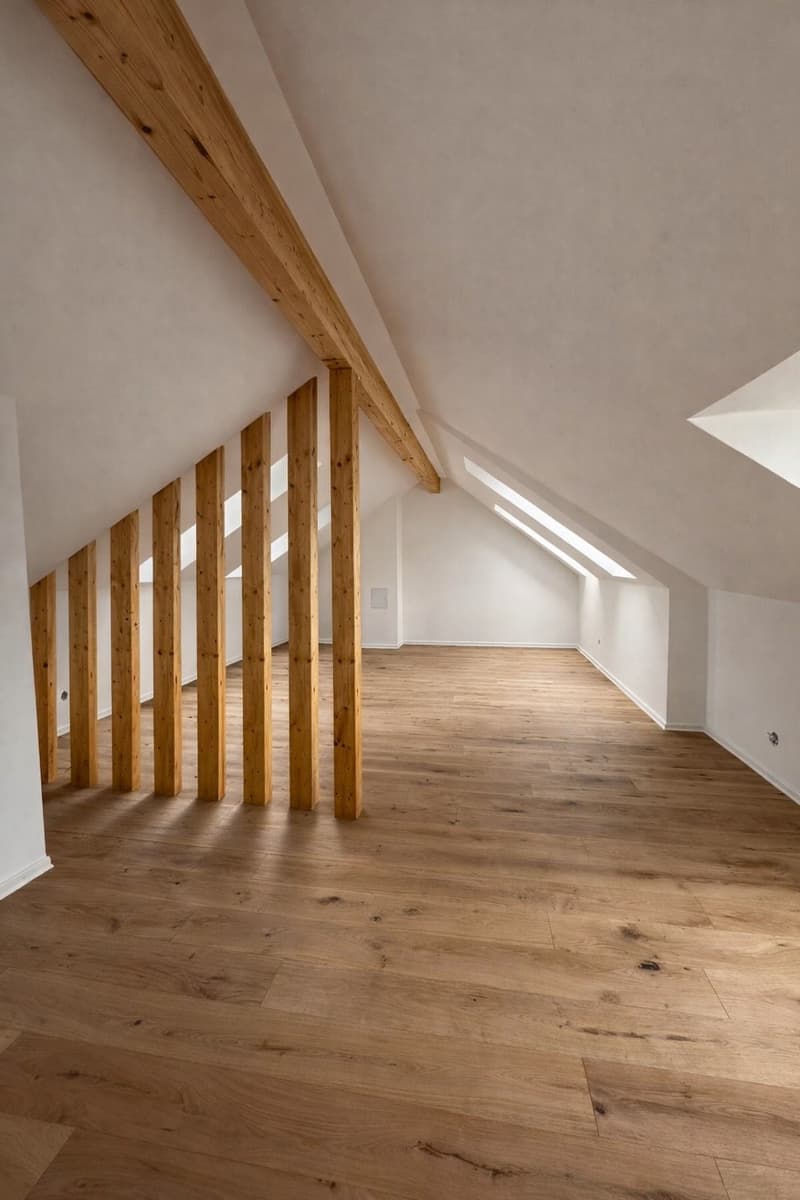 Erstbezug nach komplettem Dachausbau  exklusive Dachgeschosswohnung mit Cabriofenster in zentraler Lage (5)