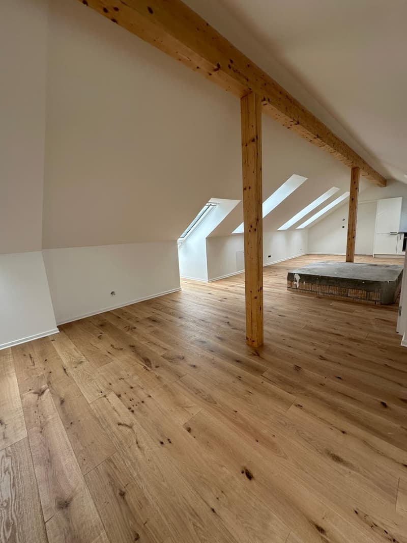 Erstbezug nach komplettem Dachausbau  exklusive Dachgeschosswohnung mit Cabriofenster in zentraler Lage (6)