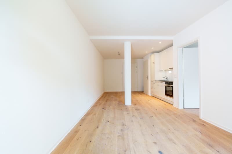 Moderne 2.5 Zimmerwohnung in Liestal zu vermieten! (3)