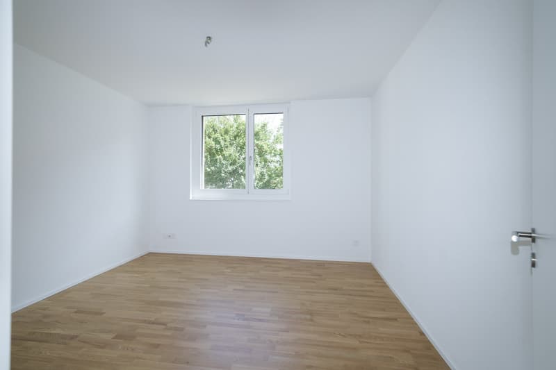 Zimmer 1